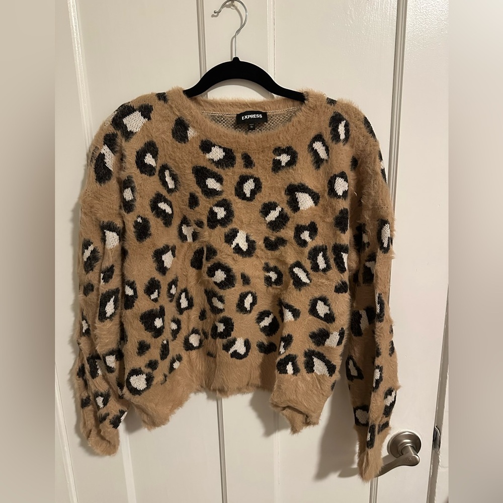 Cheetah Print Sweater
